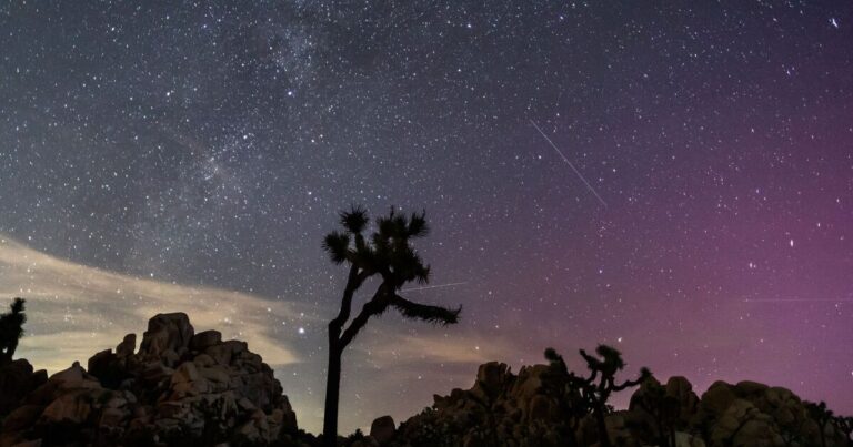 Perseid meteor shower LIVE: Exact time shooting stars to fill sky and how to watch | UK | News