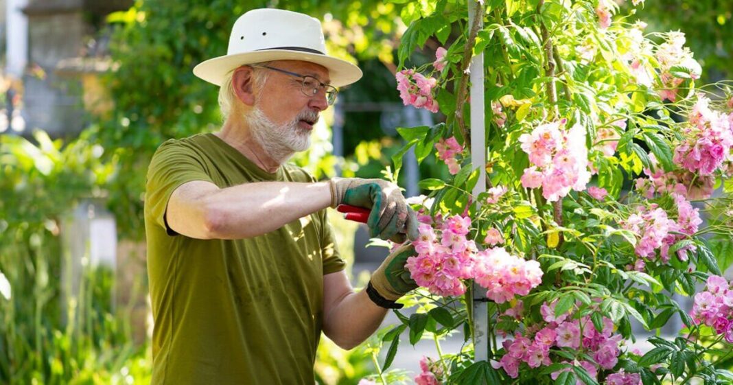 Gardeners ‘do not’ warning for your lawn after with rain on the way | Personal Finance | Finance