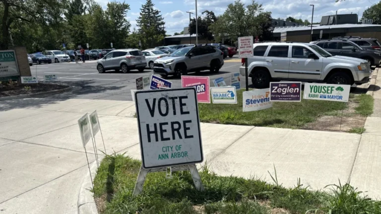 Progressive Democrat Wins House Primary in Michigan Swing District