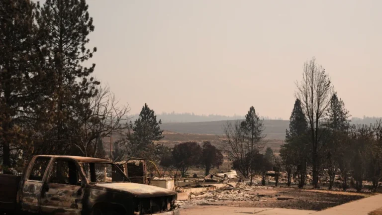 RFK Jr. Declares Public Health Emergency for Wildfire-Ravaged Washington State