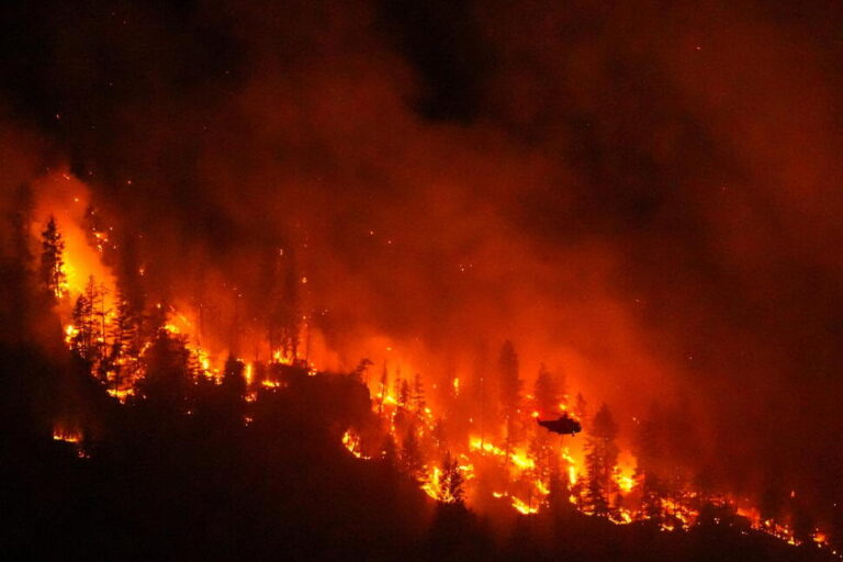 Climate Change Contributed to Big Canada Fires, Study Says as Trump Blames Mismanagement
