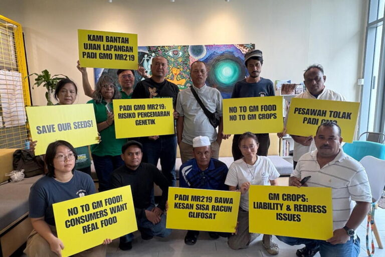 Malaysian Farmers, Environmental Groups Call for Rejection of GMO Rice Trial