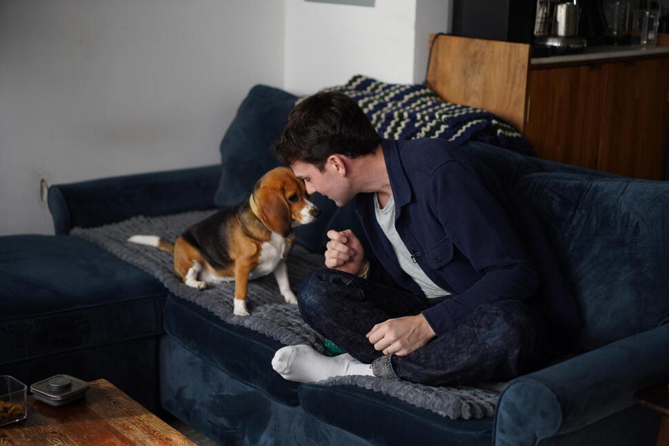 Gene-Edited Beagles May Offer a Future Option for People With Dog Allergies