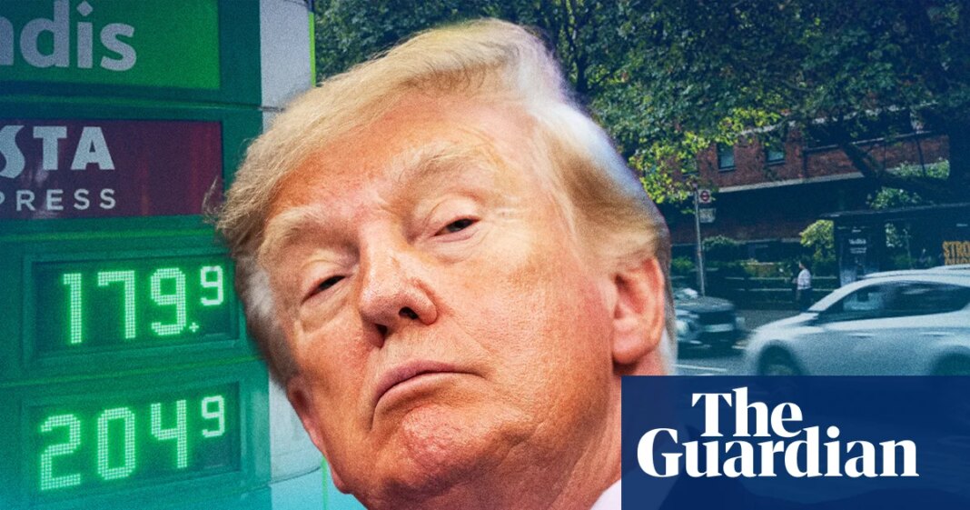 Diesel export ban: will Trump push global energy prices even higher? – The Latest | Donald Trump