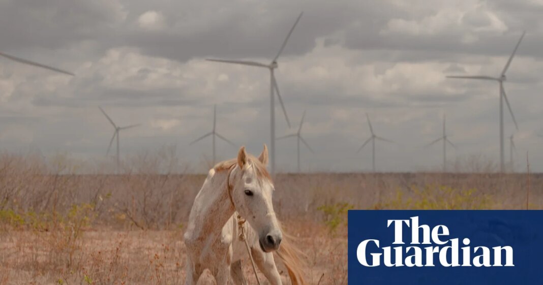 Brazil’s wind farms have been a huge success. So why isn’t everybody reaping the benefits? | Global development