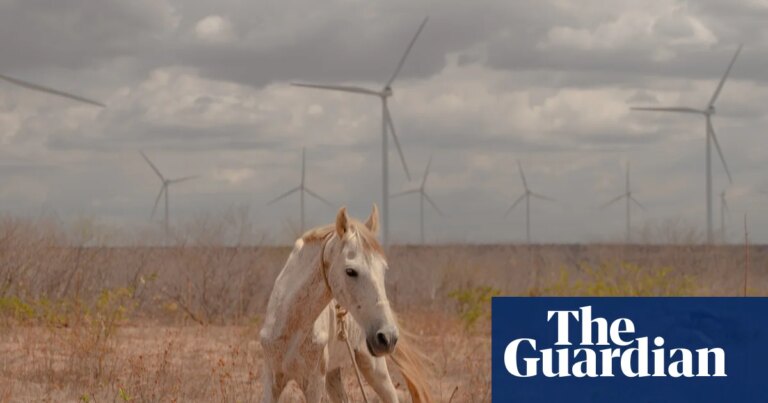 Brazil’s wind farms have been a huge success. So why isn’t everybody reaping the benefits? | Global development