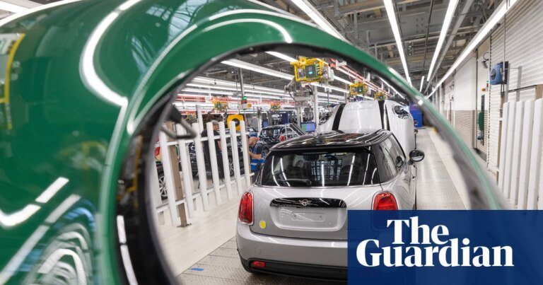 France says EU’s ‘Made in Europe’ law should not include the UK | European Union