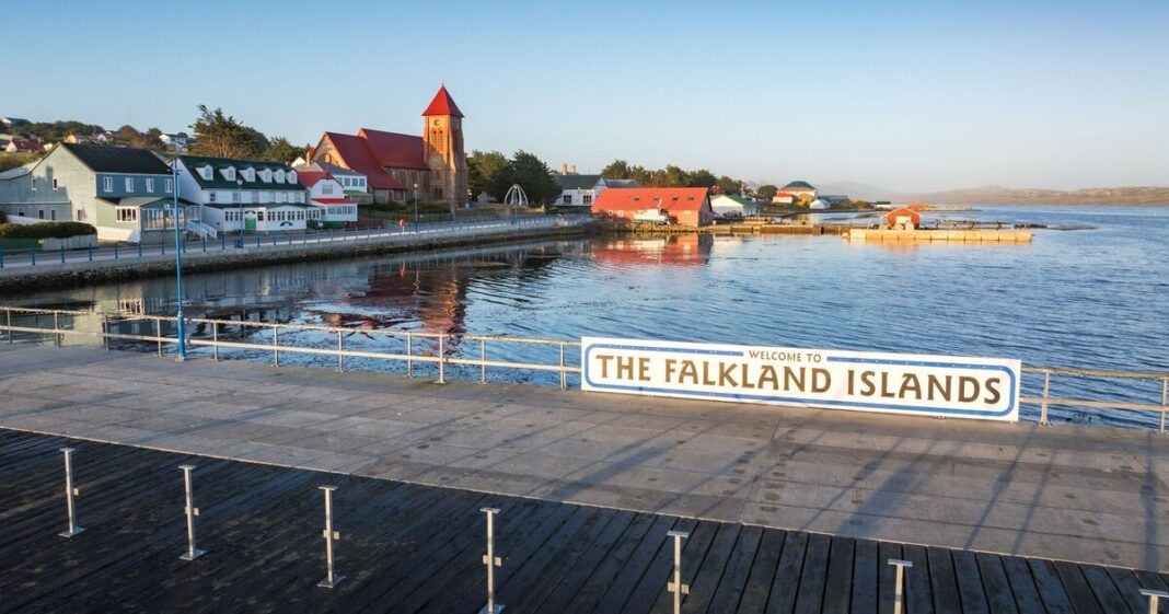 Iceland to open supermarket in Falkland Islands in ‘high street retail first’ | World | News