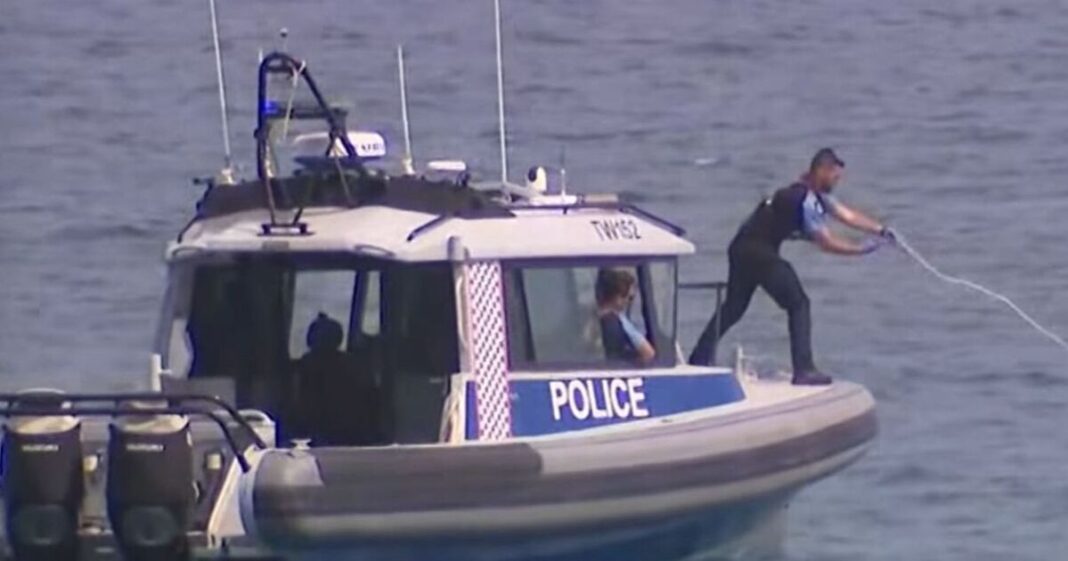 Swimmer, 63, killed in shark attack as police search for body and ‘des | World | News