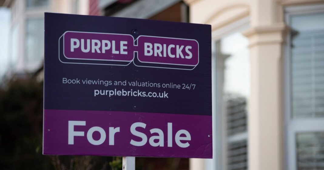 HMRC tax scare as huge firm used by millions targeted by winding-up petition | City & Business | Finance
