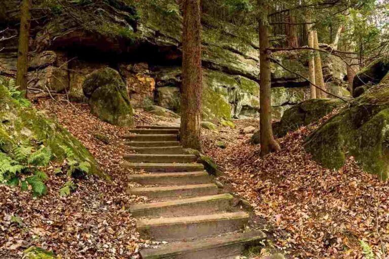 Ohio Steps Up With Nevada and Others To Transform Affordable Travel With America’s Most Incredible Free National Parks