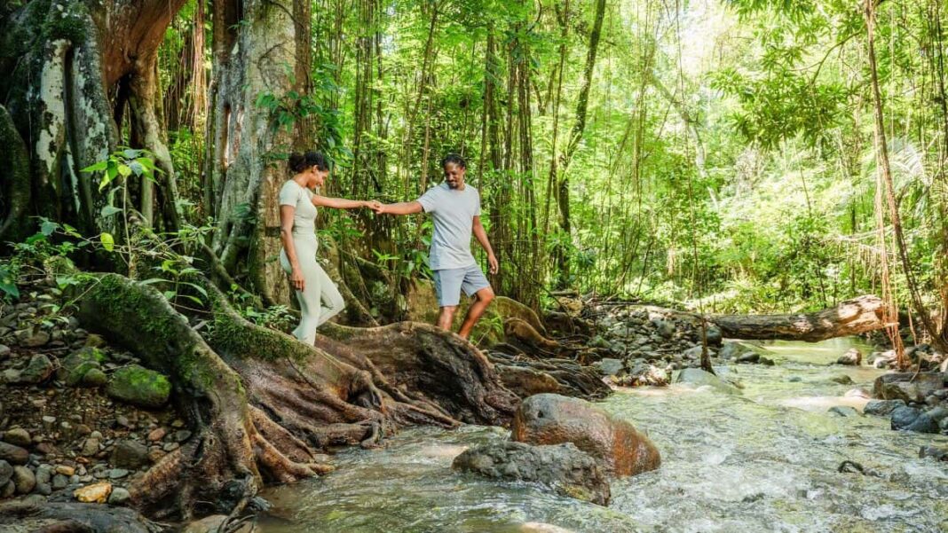 Saint Kitts and Nevis Delivers a Powerful Caribbean Escape From Volcano Trails to Calm Shores