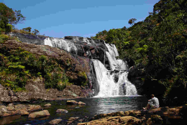 Sri Lanka’s Delft Island and More Untouched Destinations Reveal Extraordinary Offbeat Experiences Every Traveller Must Discover