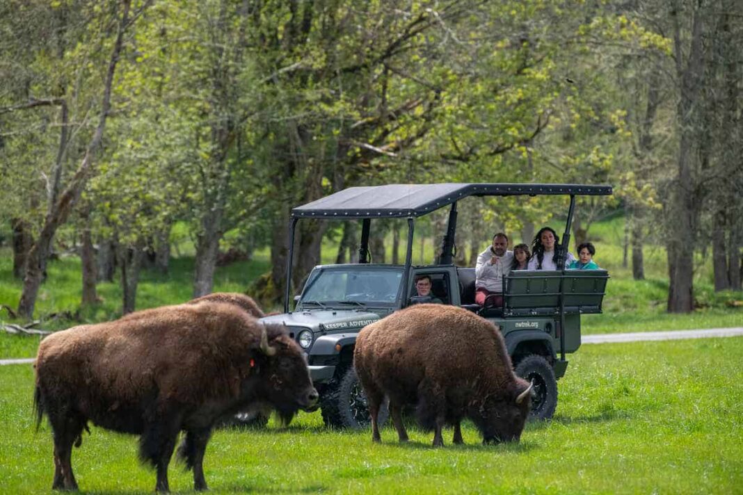 USA Autumn Travel Upgrade As Tacoma Pierce County Introduces A Three Day Family Adventure Experience