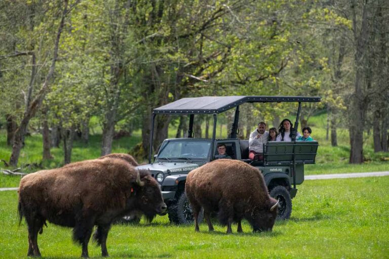 USA Autumn Travel Upgrade As Tacoma Pierce County Introduces A Three Day Family Adventure Experience