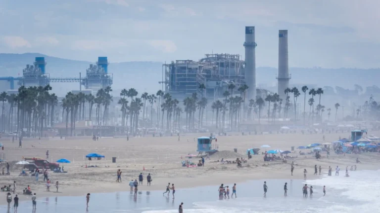 Orange County, a Major Southern California Beach Destination, Declares Emergency Over Hurricane Marie Effects