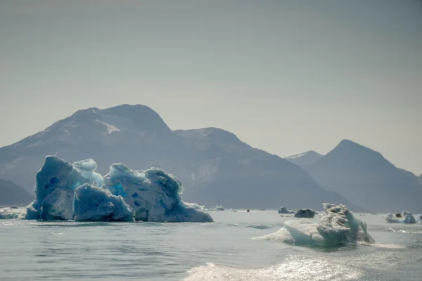 Trump’s Greenland Deal Is a 3-way Win: Former US Ambassador to Denmark