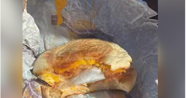 Australian police find meth hidden inside McMuffin breakfast sandwich – National