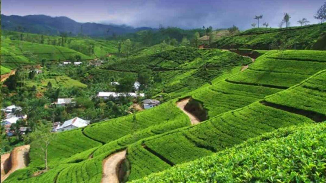Sri Lanka’s Delft Island, Gal Oya and More Hidden Destinations Unlock Extraordinary Offbeat Travel Experiences Beyond Beaches