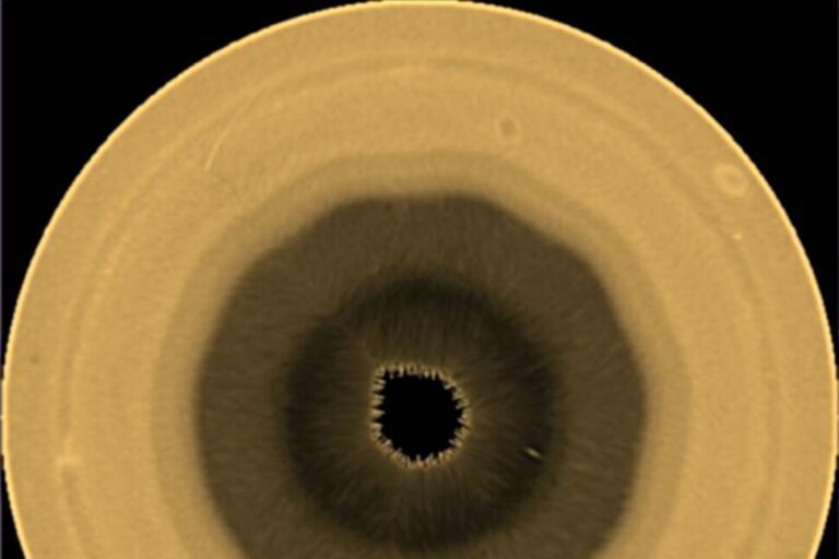 Scientists Find a Huge 10-Sided Wave Pattern Swirling in the Clouds Over Saturn’s South Pole