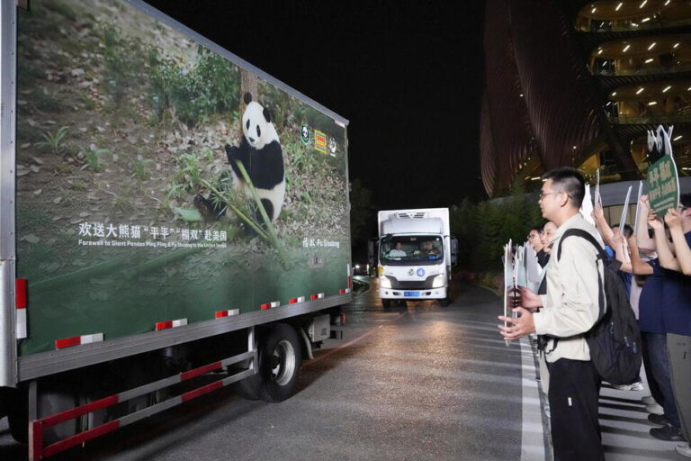 2 Giant Pandas Set off to Atlanta Zoo From China After Xi-Trump Summit