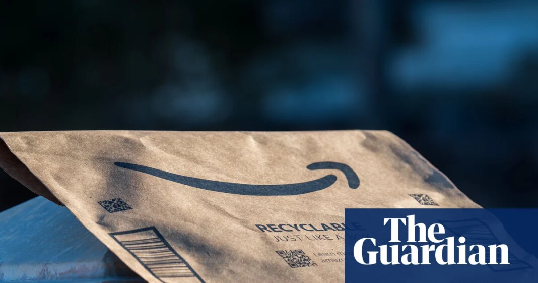 Amazon gives Wall Street mixed financial picture in earnings report | Technology