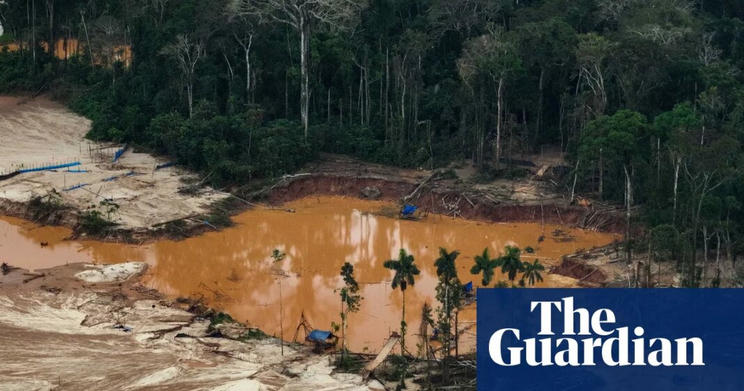 US corporate lobbyists mounted ‘blitz’ to dilute landmark EU deforestation law, report finds | Deforestation