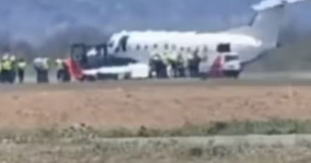 Horror as plane strikes and kills zebra while taking off in terrifying scenes | World | News