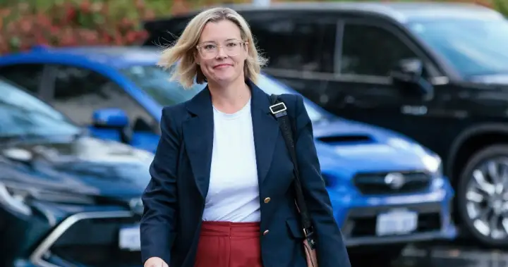 2nd female lawmaker in Australia targeted days after alleged vehicle attack – National