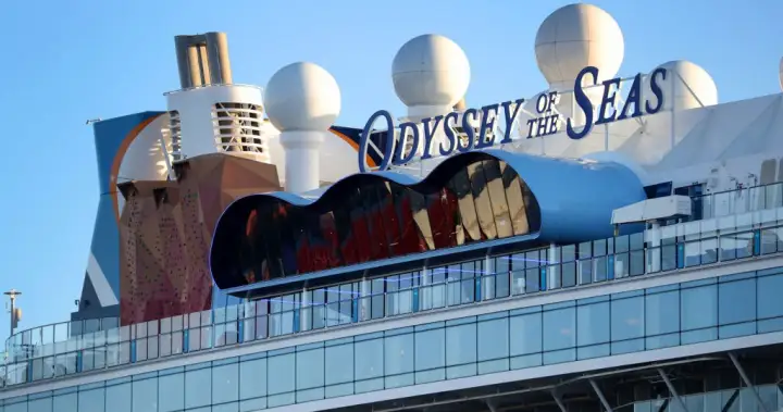 Royal Caribbean cruise passenger rescued 20 hours after going overboard – National