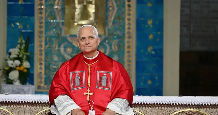 Pope Leo diagnosed with lung cancer after nodule removal, Vatican says – National