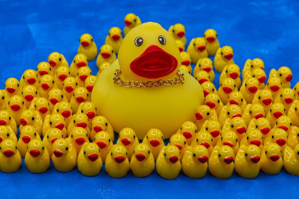 What Are Ya — Yellow? the Rubber Duck Carries Filaments of American History in Its ‘Feathers’