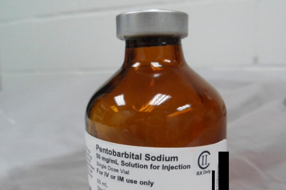 Christa Pike Survived 2 Doses of an Execution Drug. How Is That Possible?